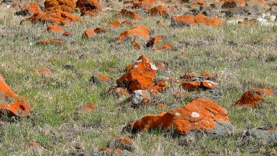 orange rocks.JPG