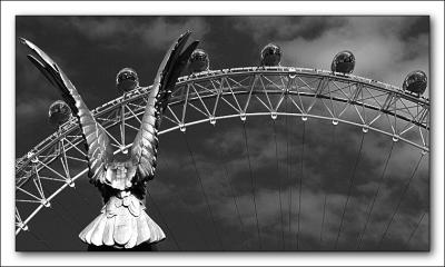 Eagles Wings 2