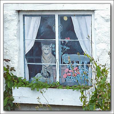 Window XII