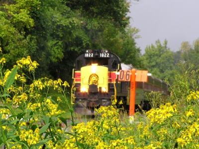 Cuyavoha Valley Railroad