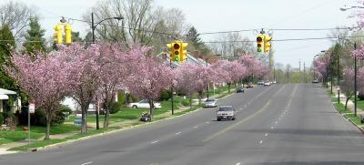 Akron in spring