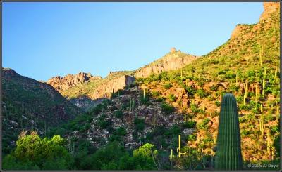 Sabino Canyon 19 pc.jpg