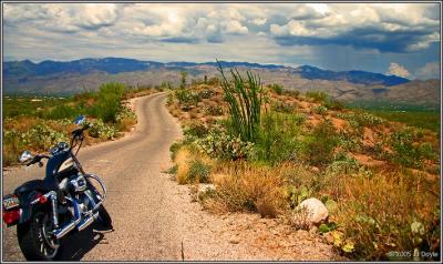 Sagauro Trail 1 pc.jpg