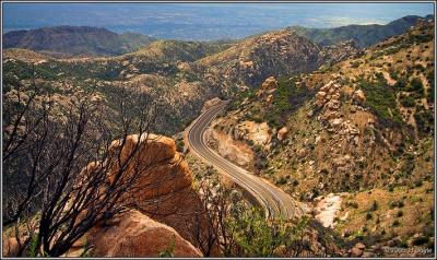 Sagauro Trail 2 pc.jpg
