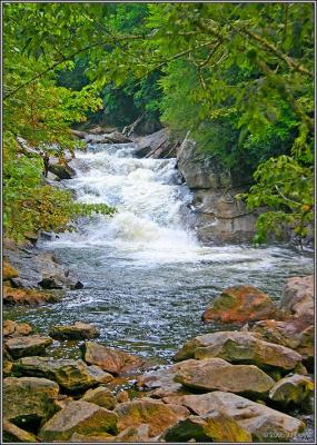 Blue Ridge Mountain Area