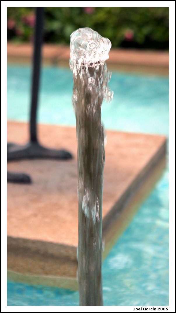Water staff