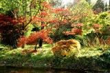 River Garden in Autumn