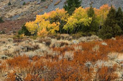 _DSC3895.jpg