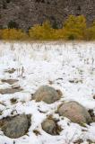 Early Season Snow up the Poudre