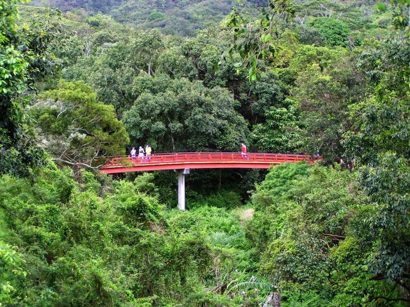 The red bridge, Byodo In