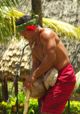 Husking coconuts the Samoan way