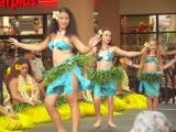 Hula dancers