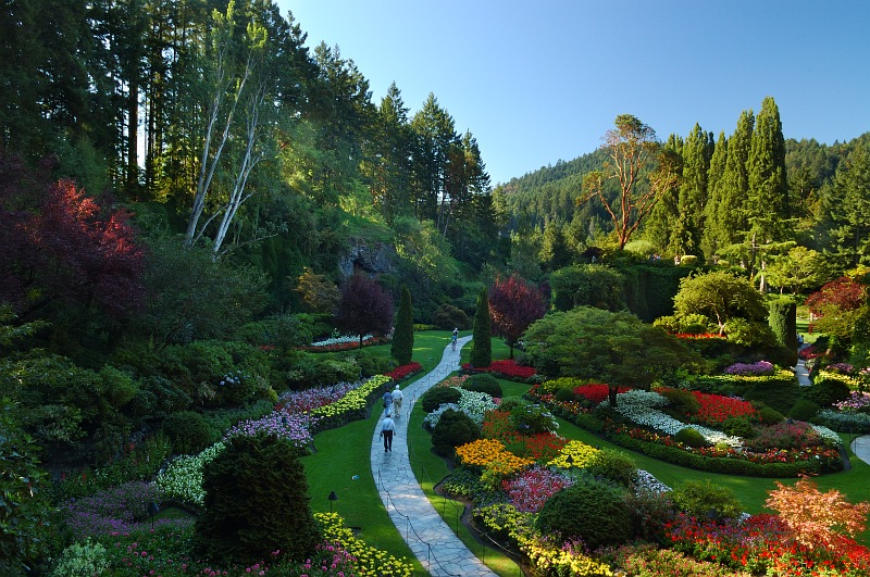 Butchart sunken garden.jpg