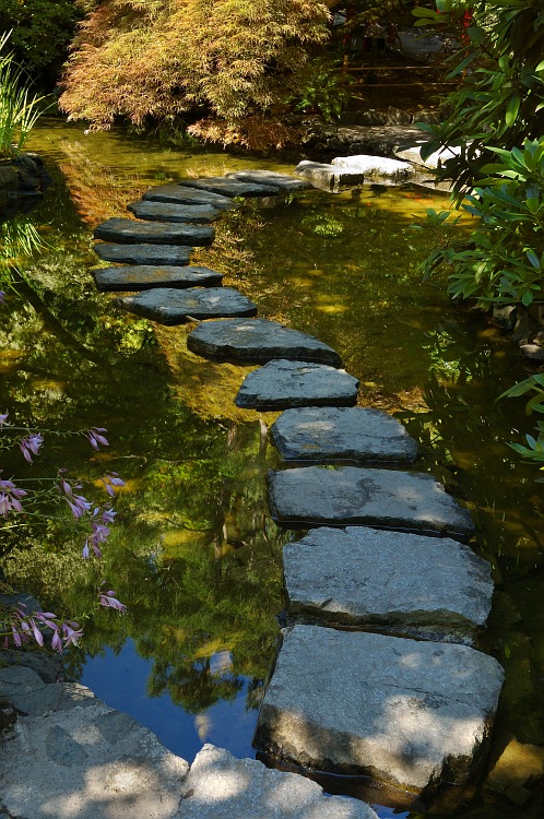 Stone steps on pond.jpg