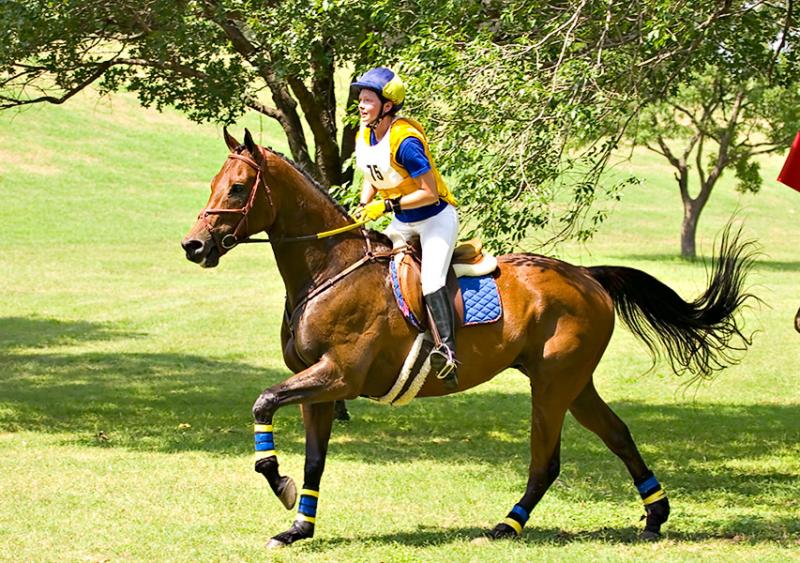 Trinity Park Cross Country eventing 2005