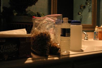 Still life of water and dog food