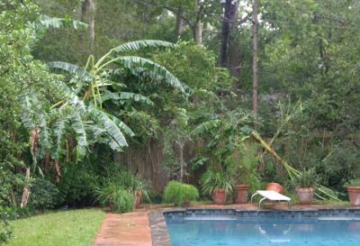 Hurricane Rita