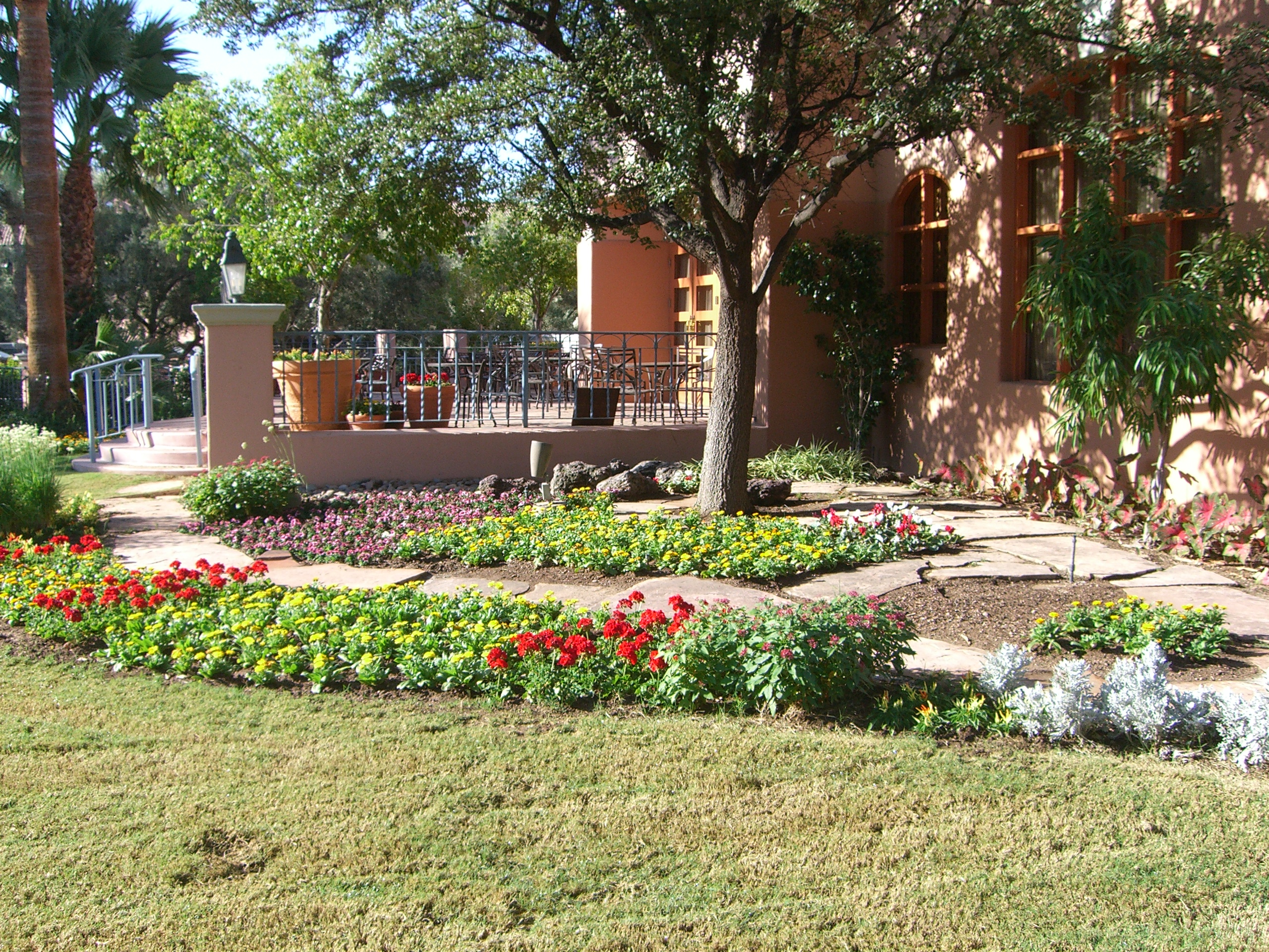 CIMG0276.JPG