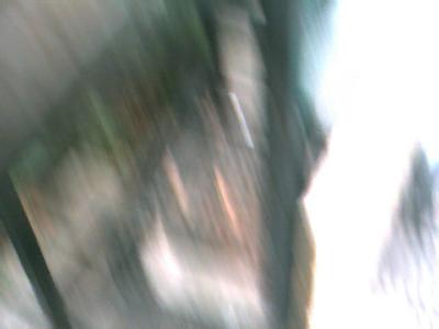 mike2-028.jpg