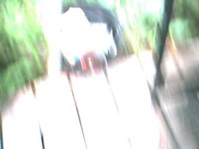 mike2-036.jpg