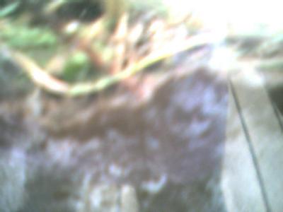 mike2-040.jpg