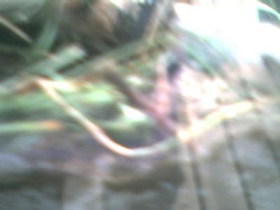 mike2-053.jpg