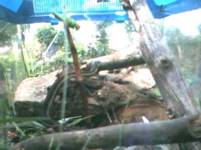mike2-058.jpg