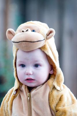Baby Monkey.jpg
