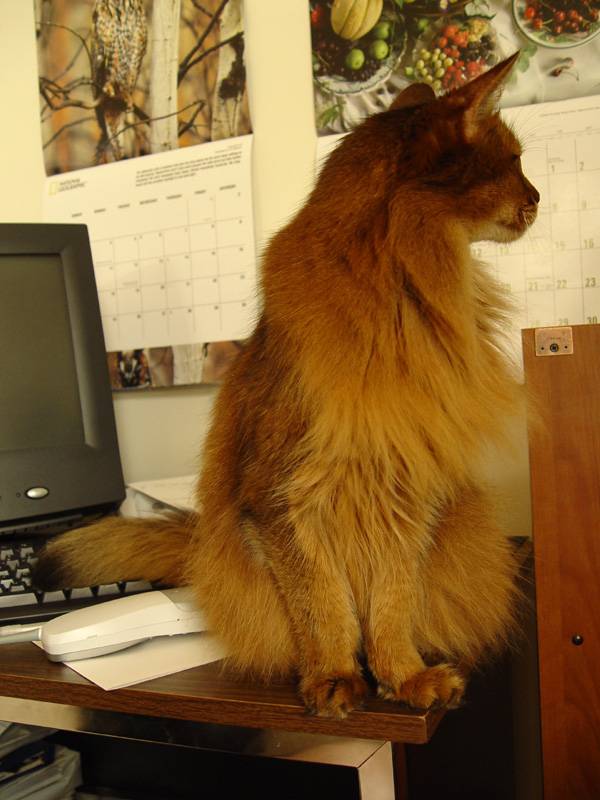 July 13, 2005<br><font size=2>Lets Not Work Today</font>