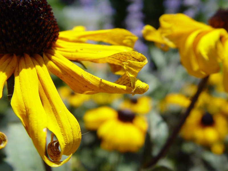 July 30, 2005<br><font size=2>Grab hold of summer</font>