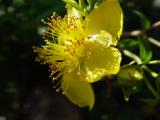 DSC04327.JPG