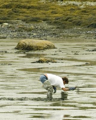 clamming.jpg