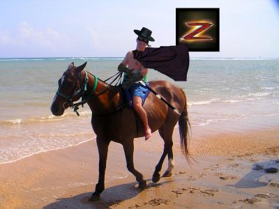 Zorro.jpg