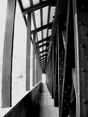 Path on the Bridge ~ July 27th