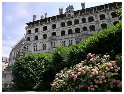 Blois Chateau III