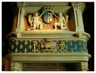 Blois Chateau - Louis XII fireplace