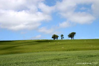 North Downs