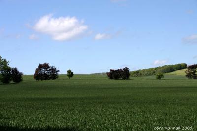 North Downs