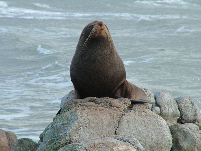 DSCF5317.JPG
