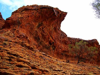 Kings Canyon22.jpg