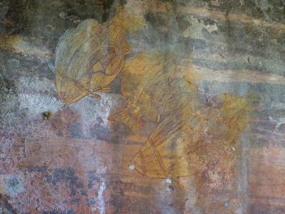 Cave paintings - Ubirr 8.jpg