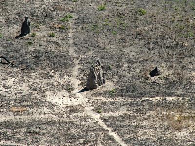 Termite mounds from Ubirr lookout.jpg