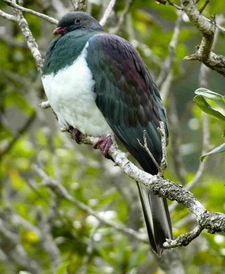 _DSC6884-small.jpg