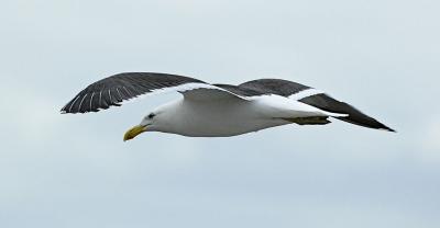 _DSC6717-small.jpg