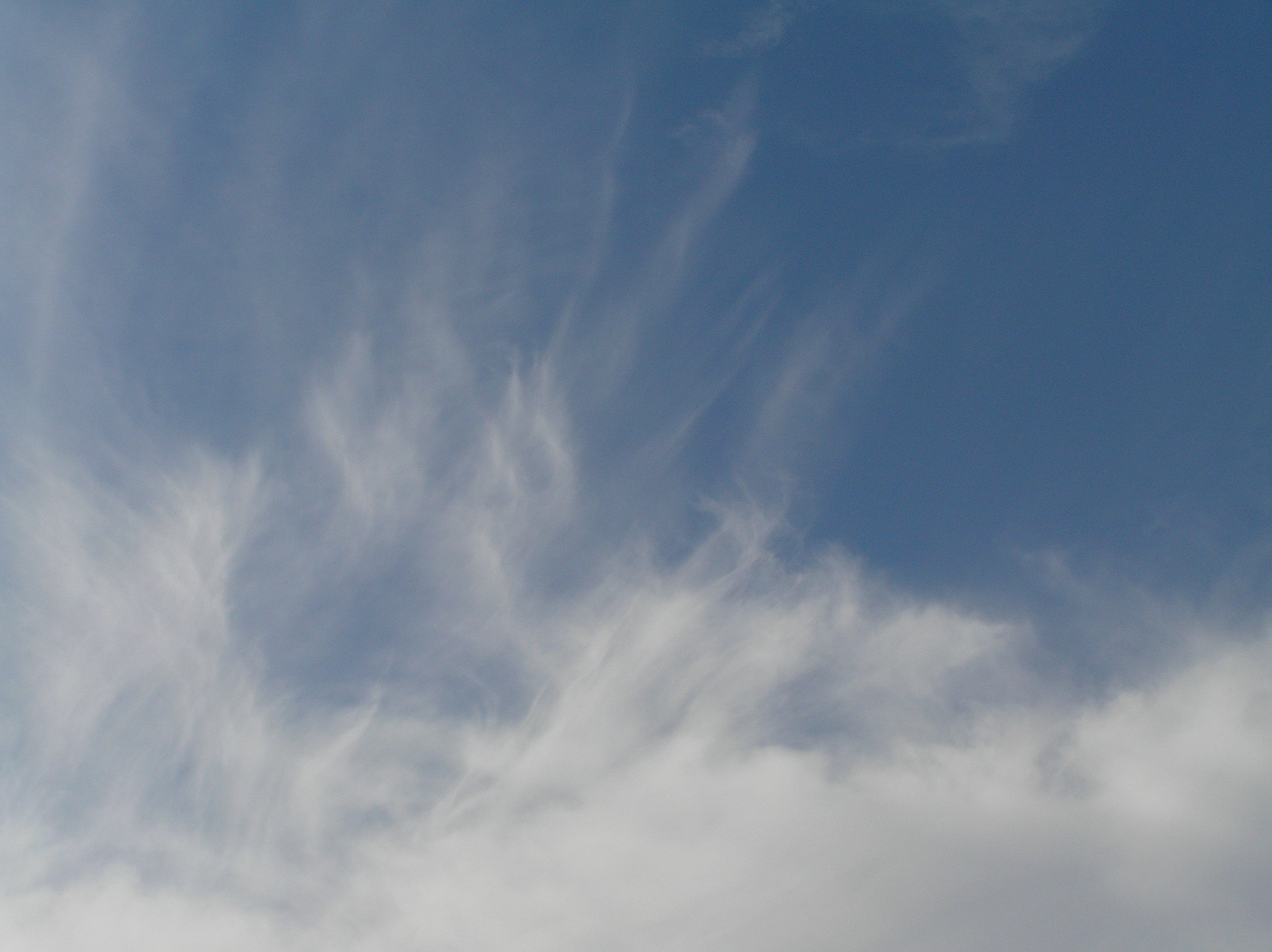 Normal cloud