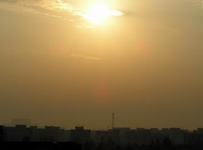 P9126831c.jpg