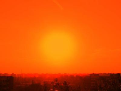 Apocalypse now