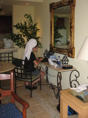 hair toweling + wifi +DHT