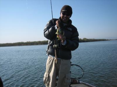 a pretty good sized blue gill