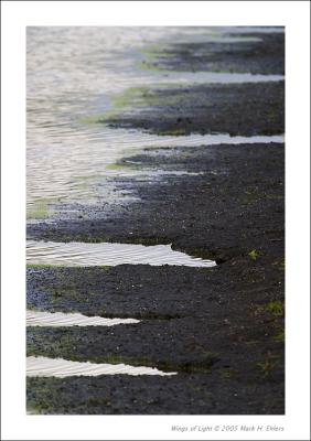Waterline